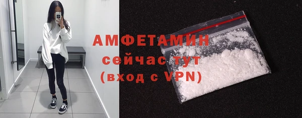 СК Алексин