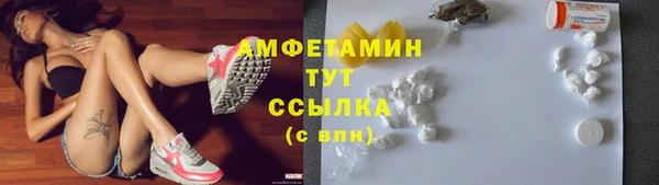 СК Алексин