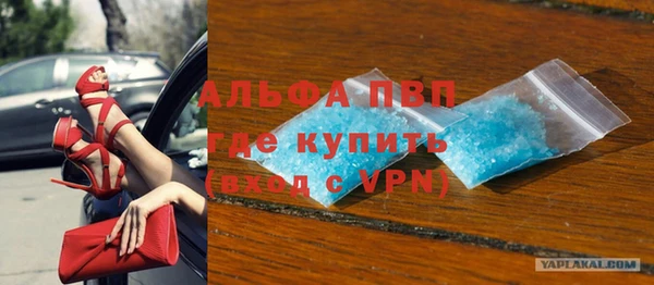 СК Алексин