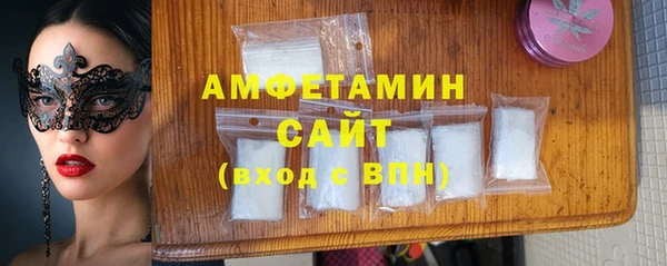СК Алексин